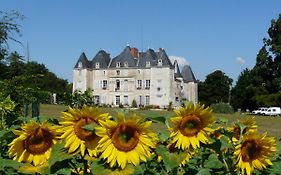 Chateau De Piolant